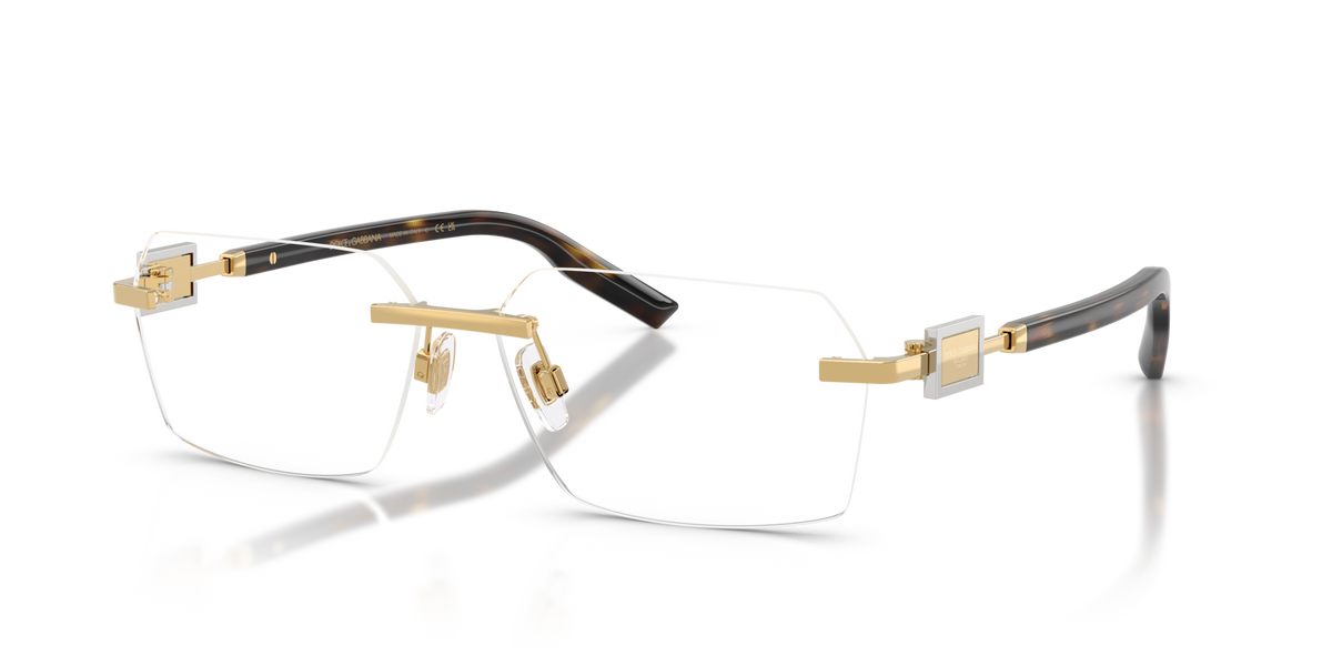 Dolce&Gabbana DG1361
