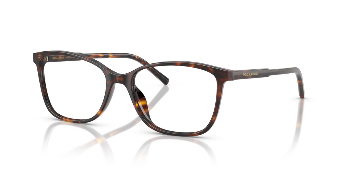Dolce&Gabbana DG3424