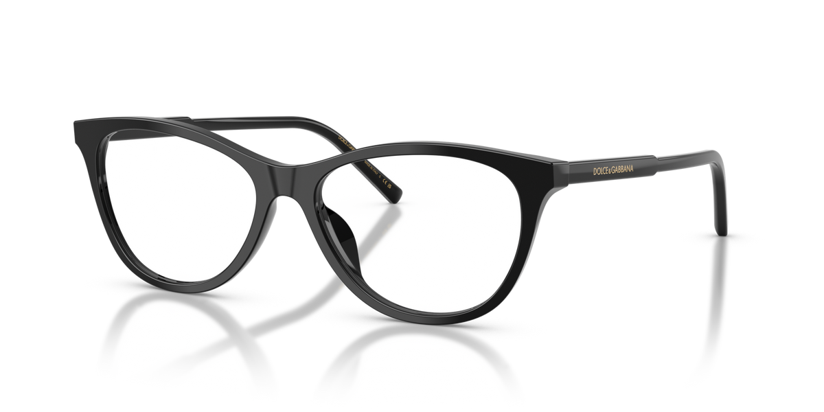 Dolce&Gabbana DG3443