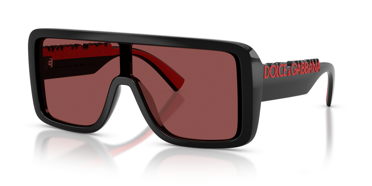 Dolce&Gabbana DG6204