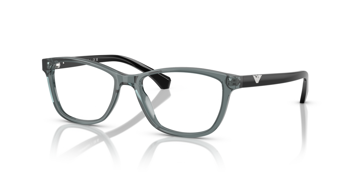 Emporio Armani EA3099