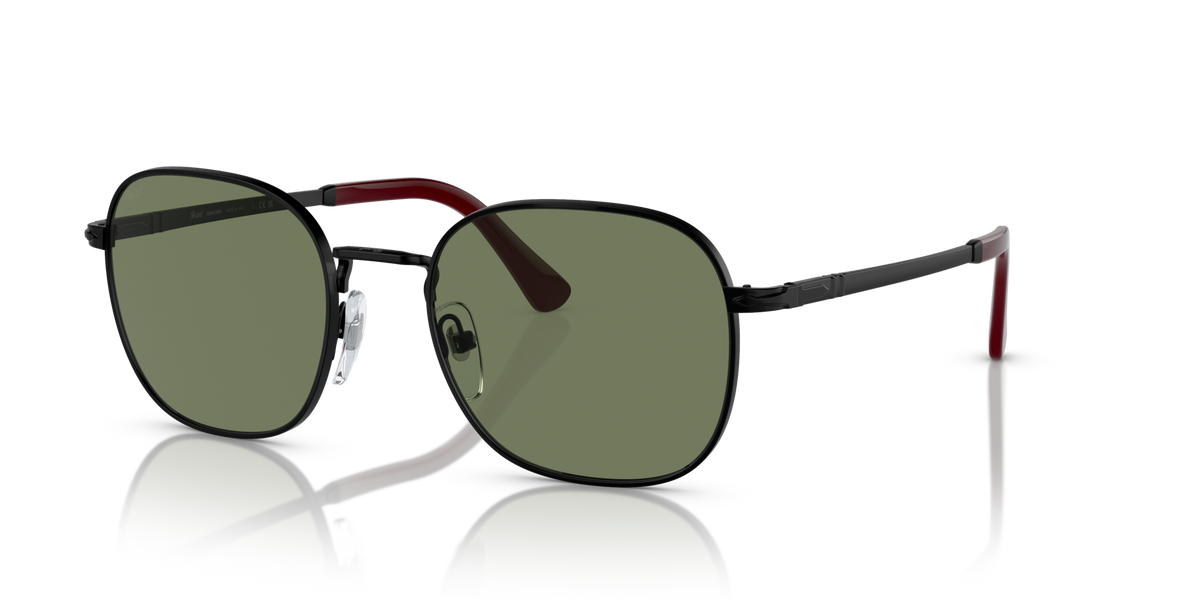 Persol PO1009S
