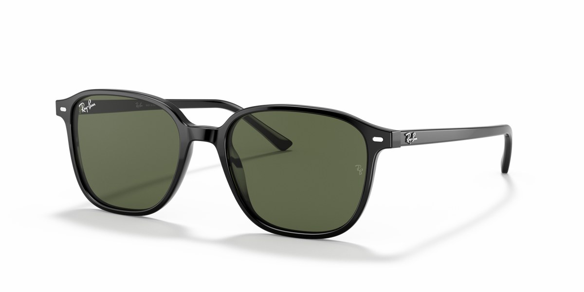 Ray-Ban RB2193 Leonard