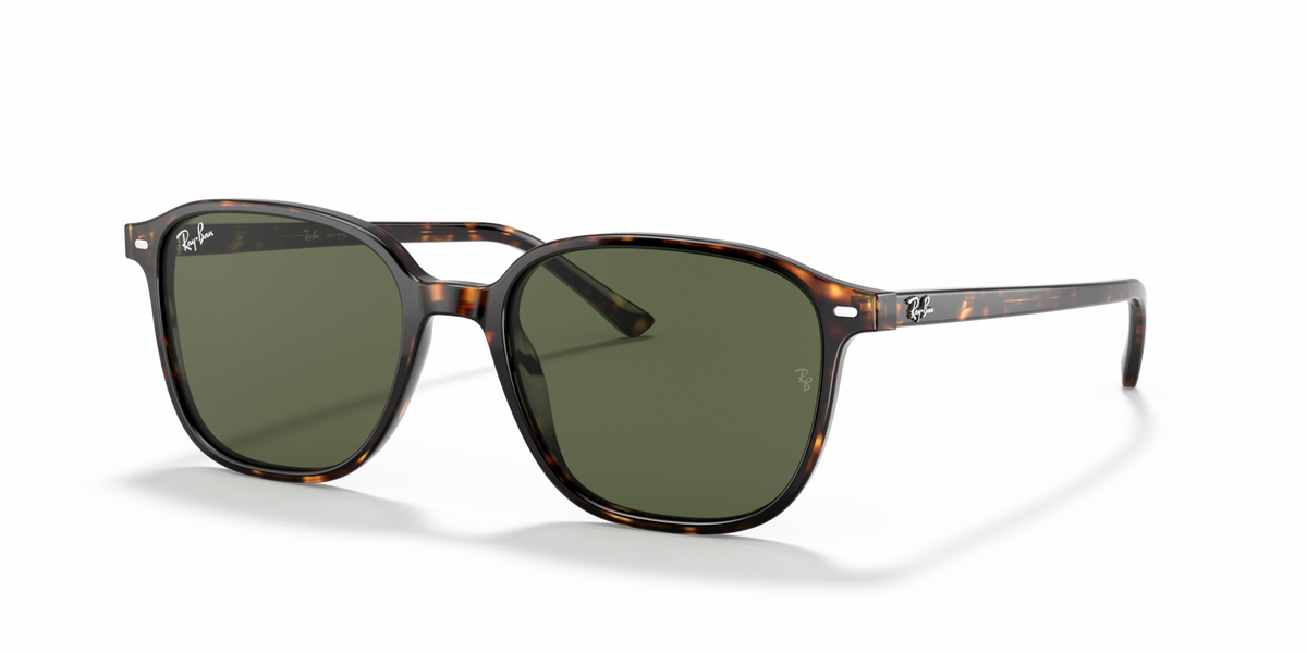 Ray-Ban RB2193 Leonard