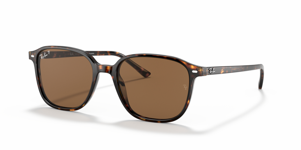 Ray-Ban RB2193 Leonard