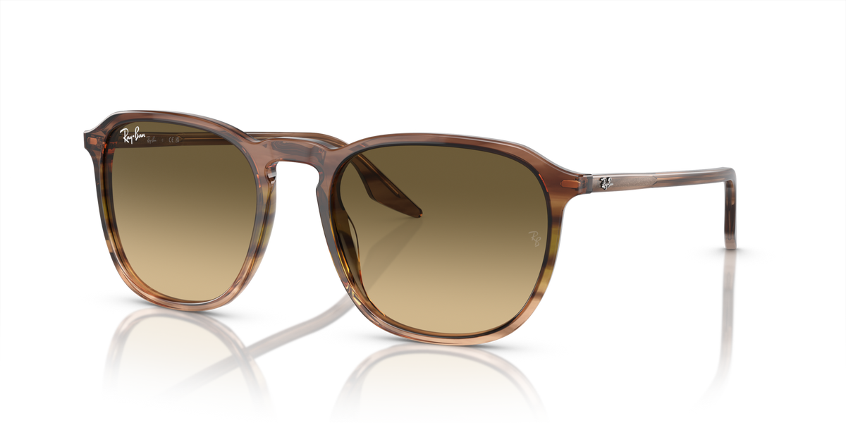 Ray-Ban RB2203