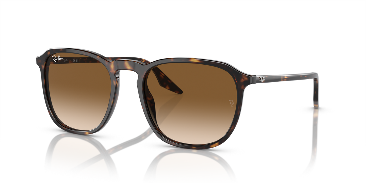 Ray-Ban RB2203