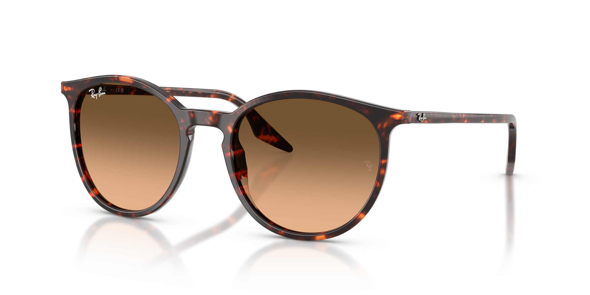 Ray-Ban RB2204