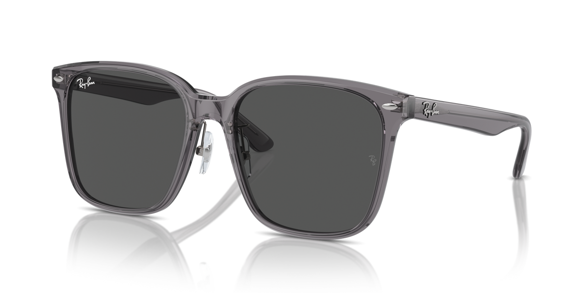 Ray-Ban RB2206D