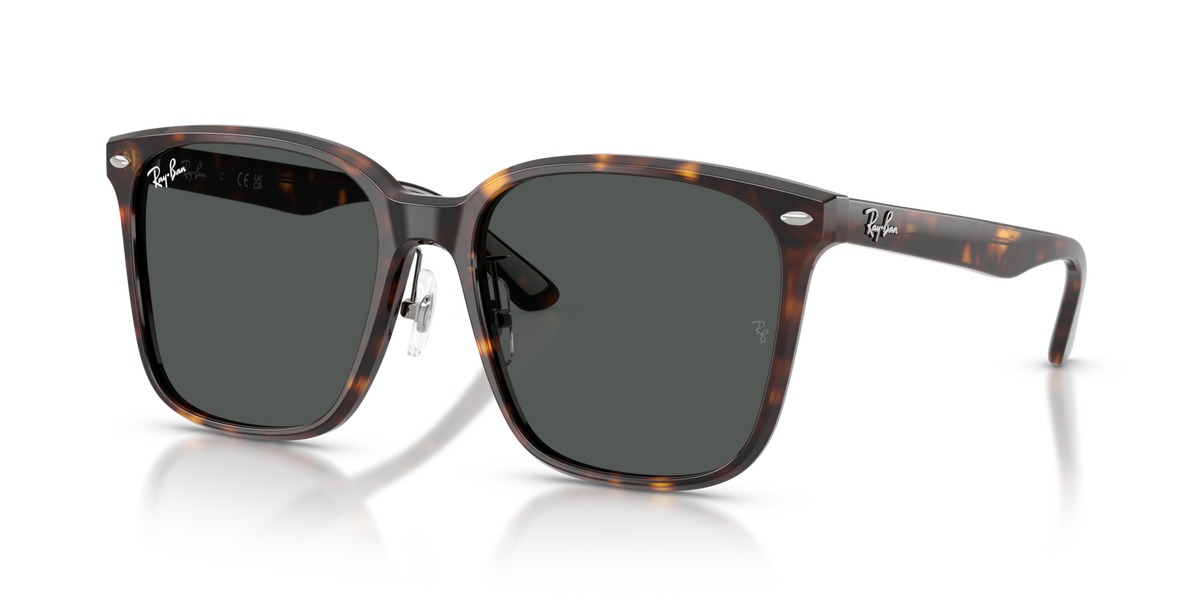 Ray-Ban RB2206D