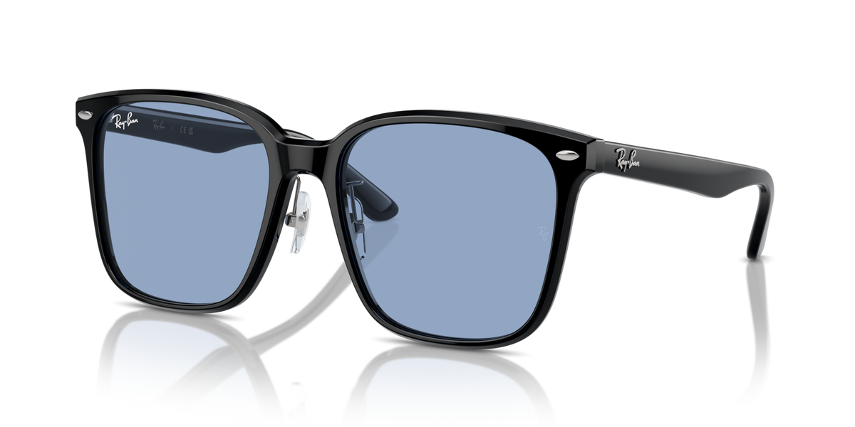 Ray-Ban RB2206D