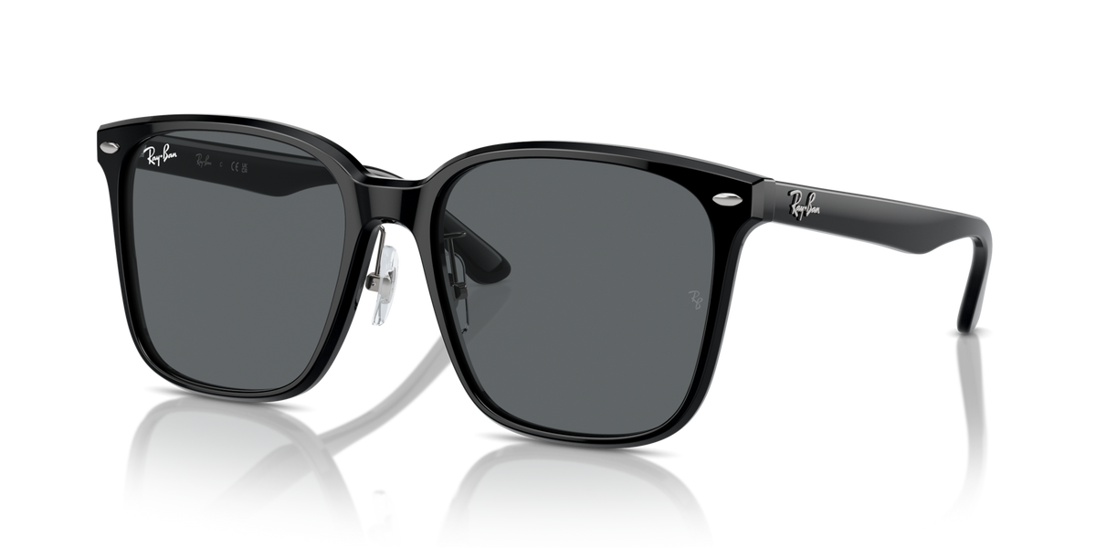 Ray-Ban RB2206D