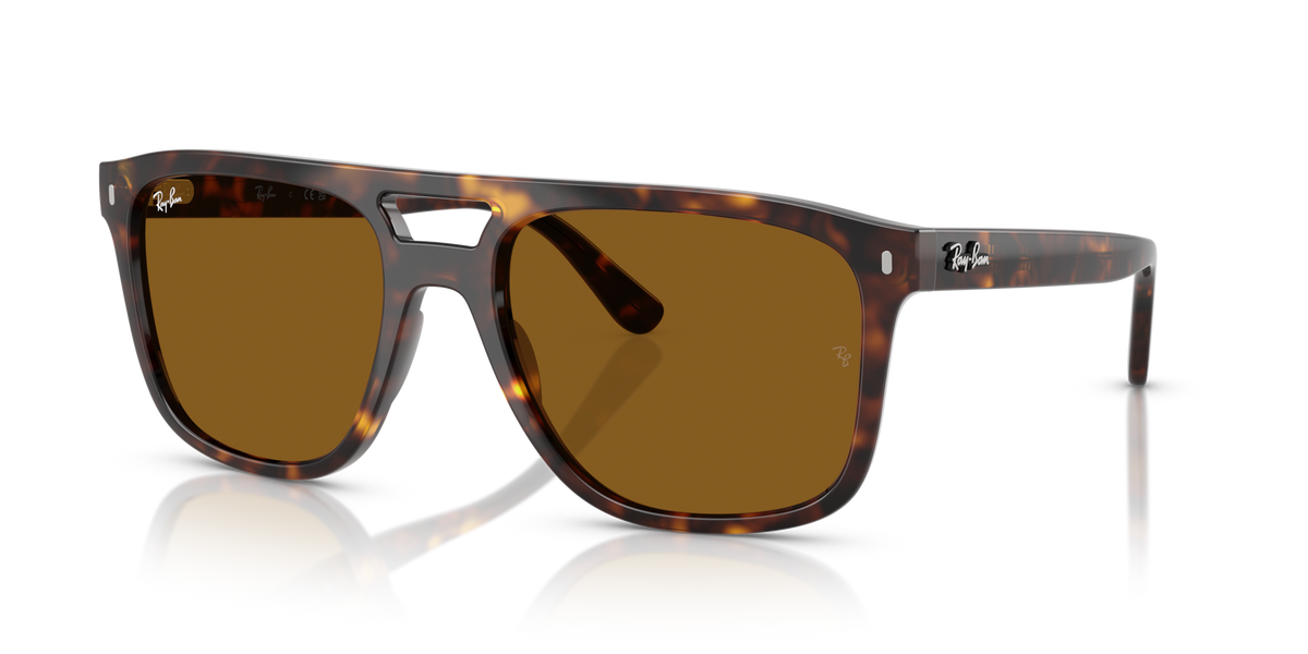 Ray-Ban RB2213