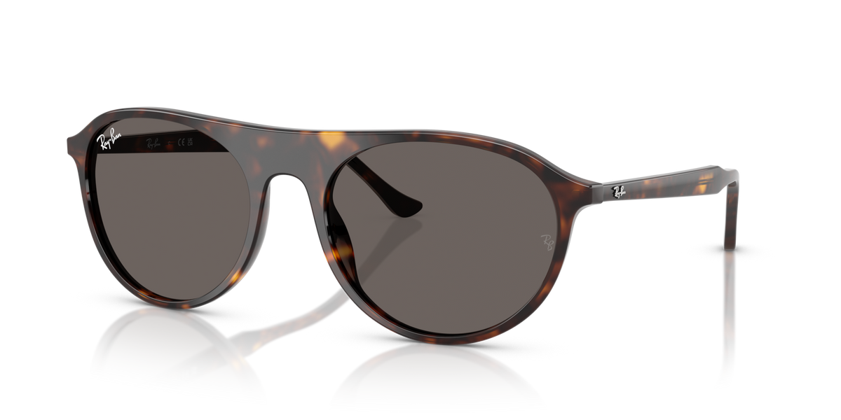Ray-Ban RB2215