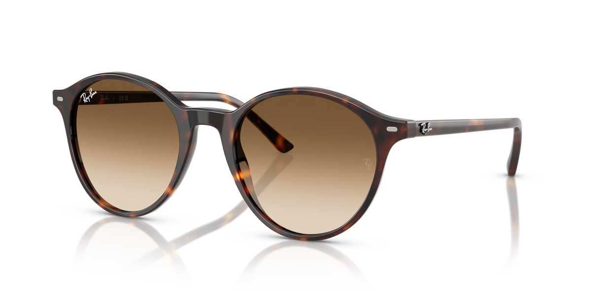 Ray-Ban RB2230 Bernard