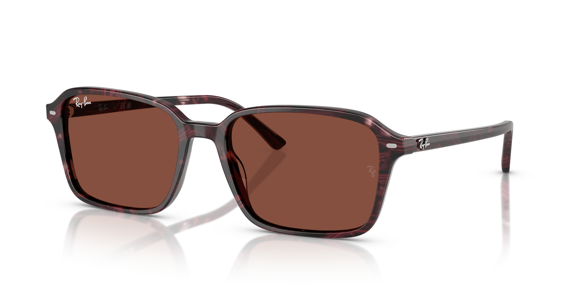 Ray-Ban RB2231 Raimond