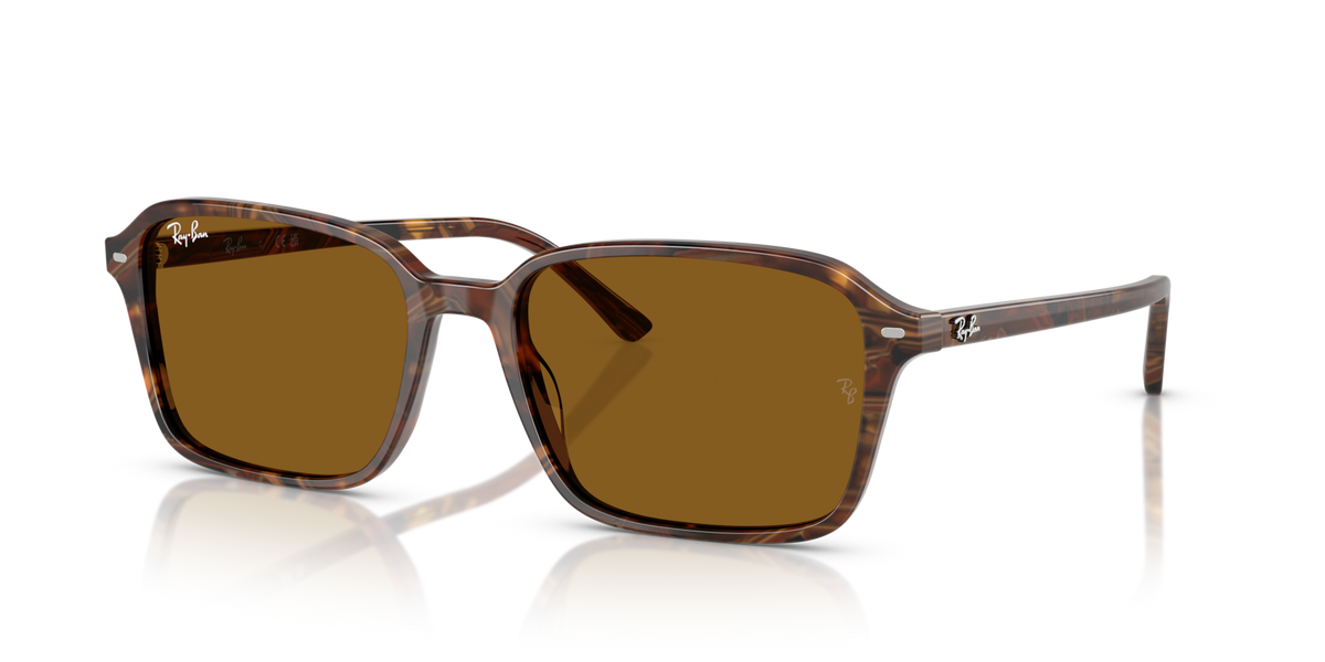 Ray-Ban RB2231 Raimond