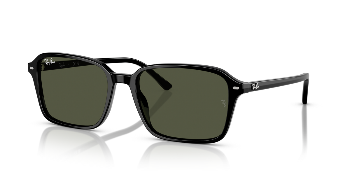 Ray-Ban RB2231 Raimond
