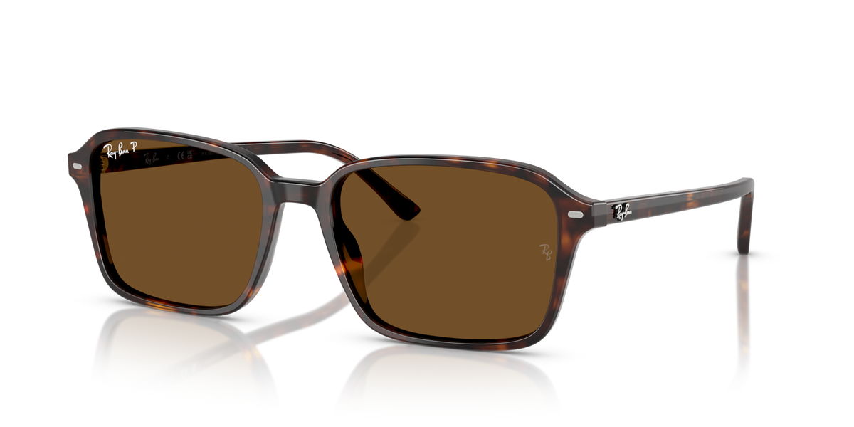 Ray-Ban RB2231 Raimond