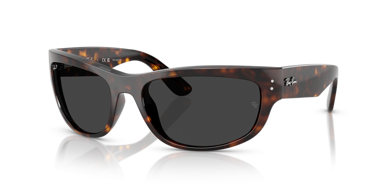 Ray-Ban RB2289 Mega balorama