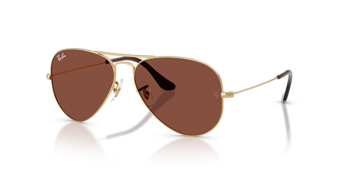 Ray-Ban RB3025 Aviator large metal