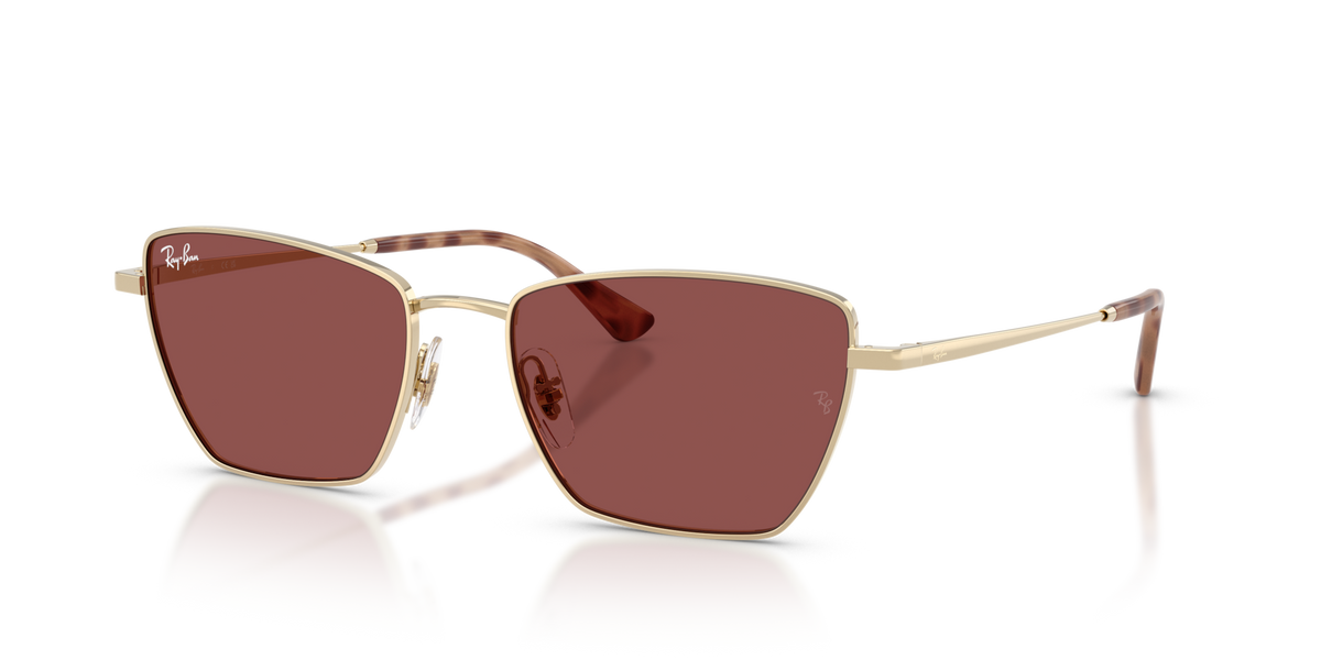Ray-Ban RB3783