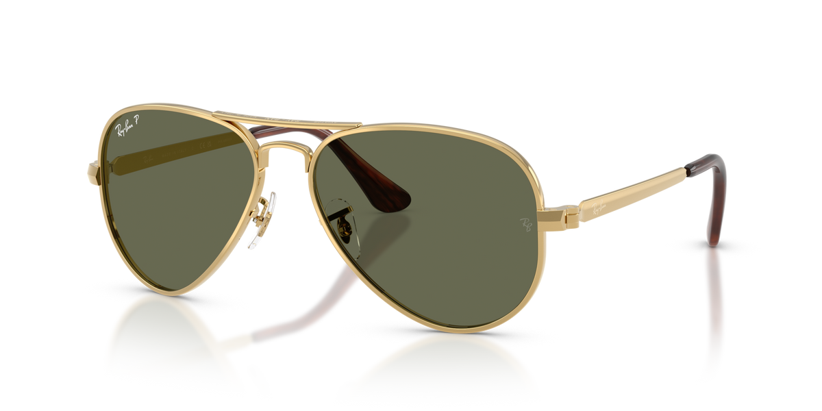Ray-Ban RB3925 Aviator max