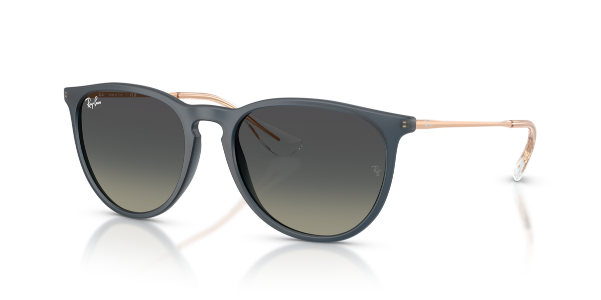 Ray-Ban RB4171 Erika