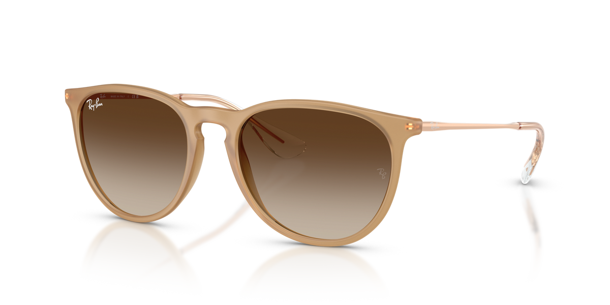 Ray-Ban RB4171 Erika