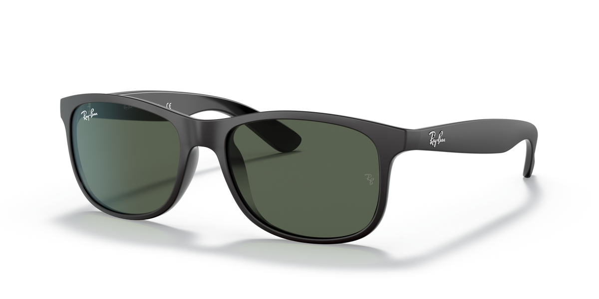 Ray-Ban RB4202 Andy