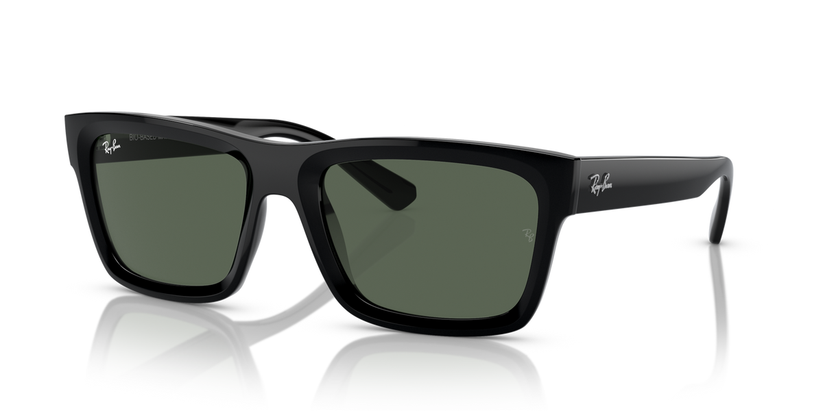Ray-Ban RB4396 Warren