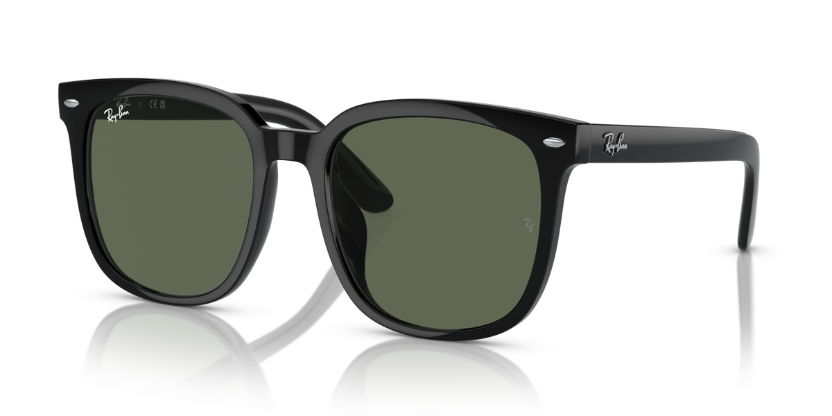 Ray-Ban RB4401D