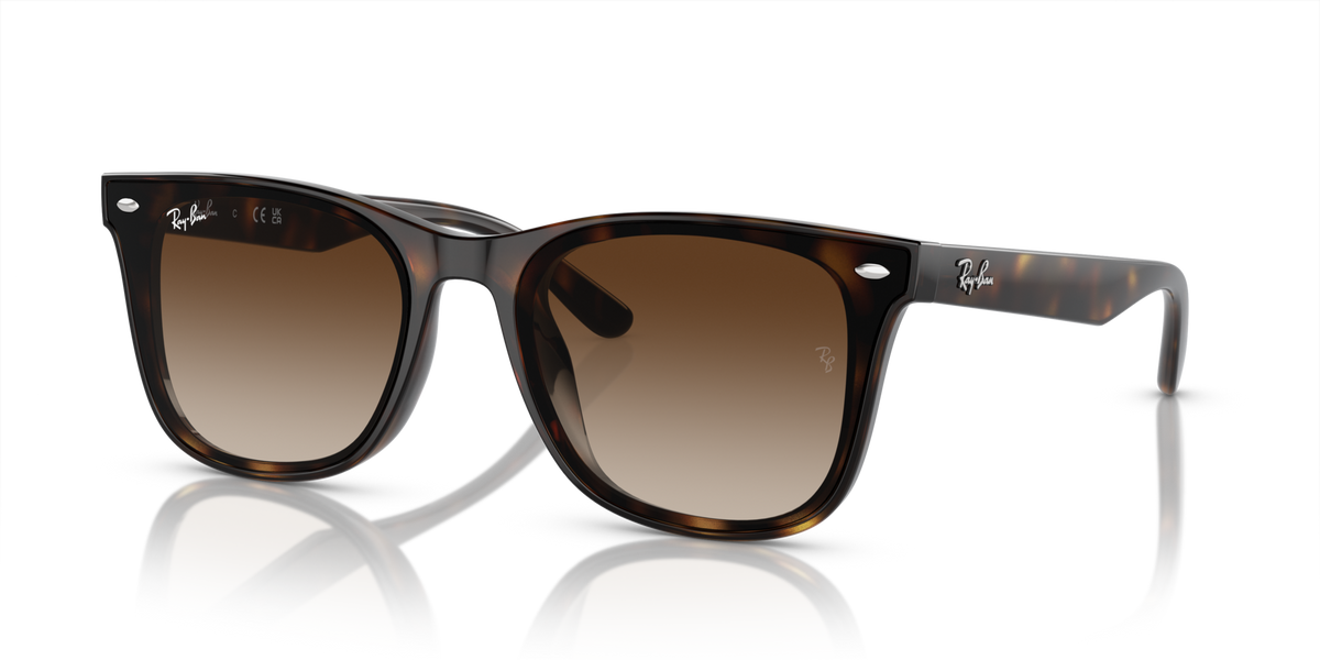 Ray-Ban RB4420