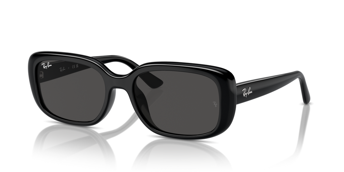 Ray-Ban RB4421D