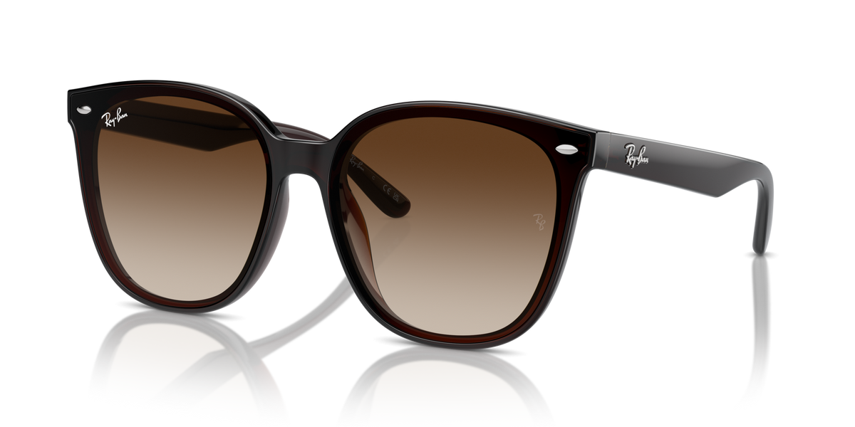 Ray-Ban RB4423D