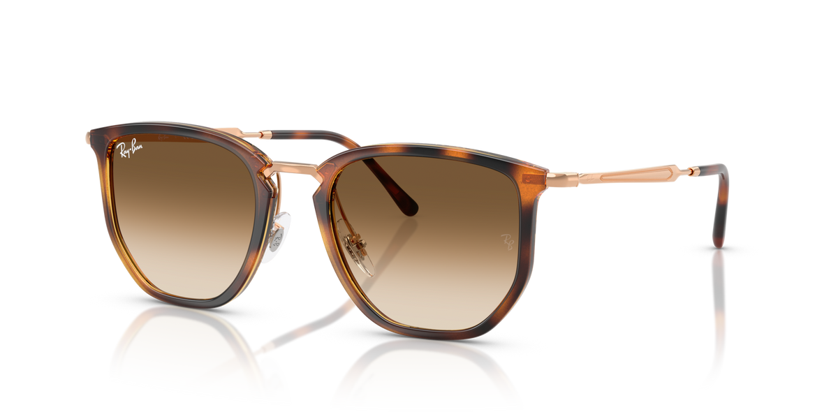 Ray-Ban RB4451