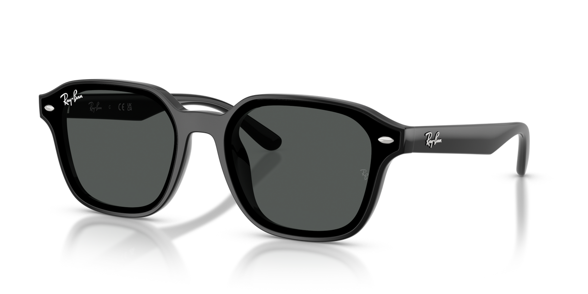 Ray-Ban RB4458D