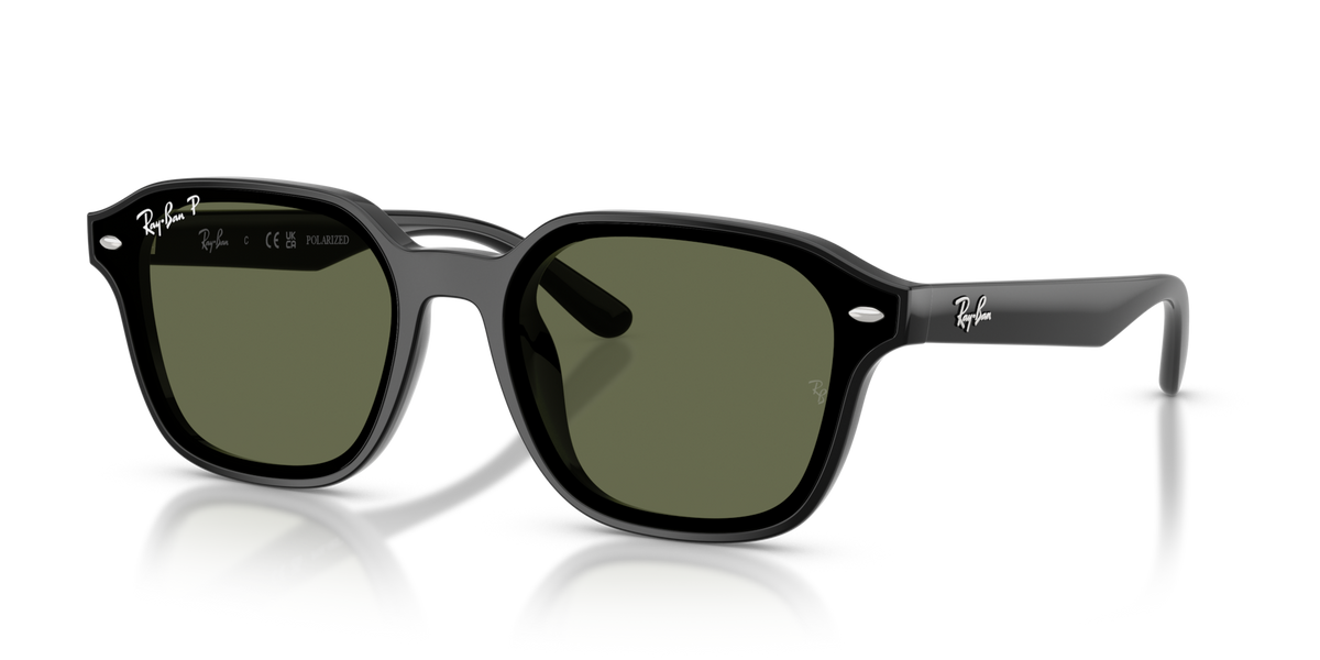 Ray-Ban RB4458D