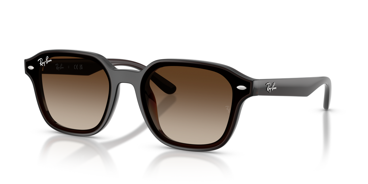 Ray-Ban RB4458D