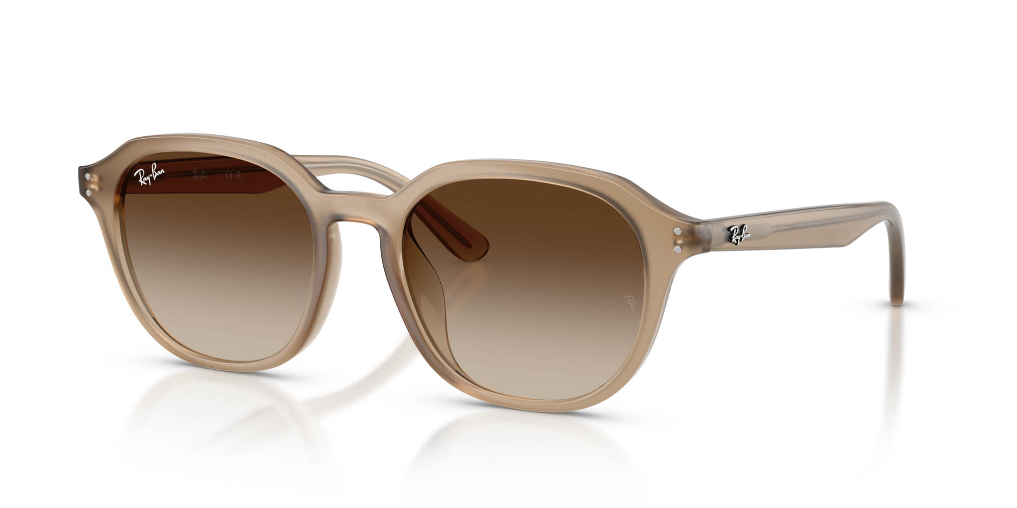 Ray-Ban RB4459D