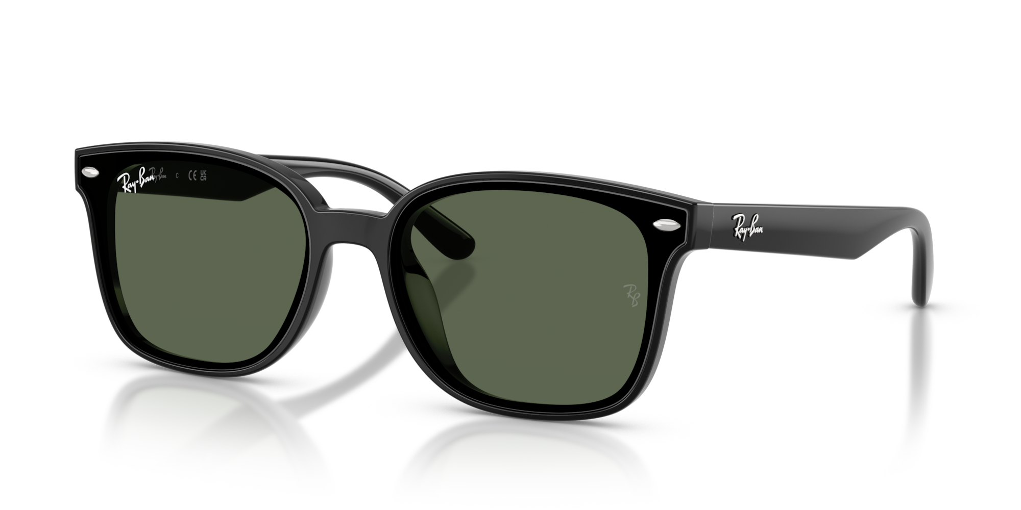 Ray-Ban RB4461D