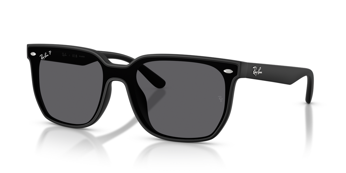 Ray-Ban RB4466D