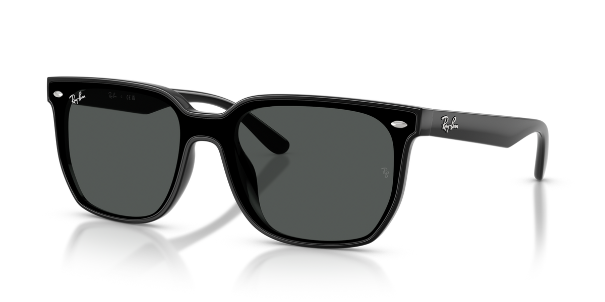 Ray-Ban RB4466D
