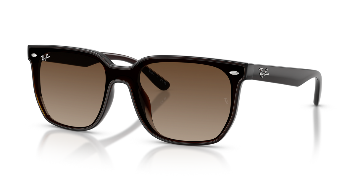 Ray-Ban RB4466D
