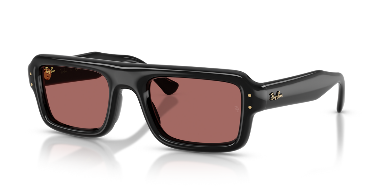 Ray-Ban RB4954