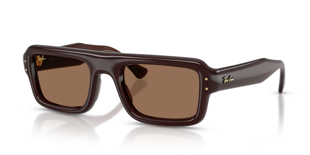 Ray-Ban RB4954
