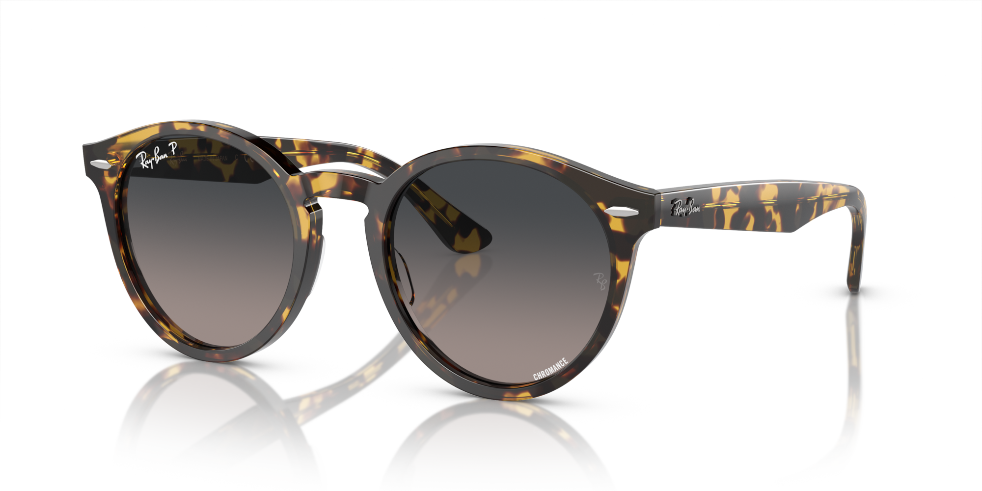 Ray-Ban RB7680S Larry