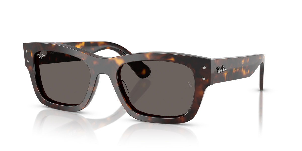 Ray-Ban RB7683S Joseph