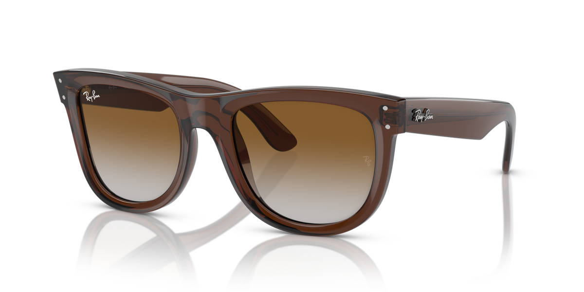 Ray-Ban 0RBR0502S Wayfarer reverse