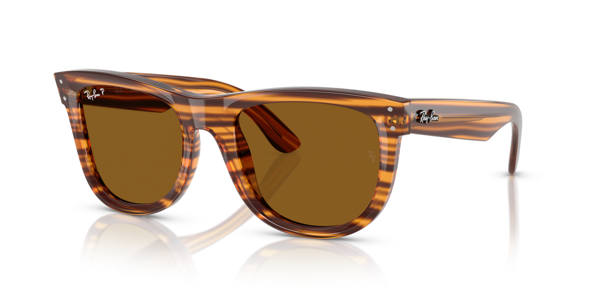 Ray-Ban 0RBR0502S Wayfarer reverse